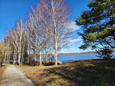 Foto - Idyllisches Wochenendgrundstück am See Grünewalder Lauch