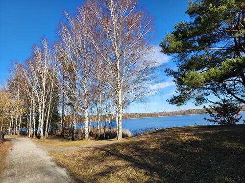 Foto - Idyllisches Wochenendgrundstück am See Grünewalder Lauch