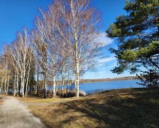 Idyllisches Wochenendgrundstück am See Grünewalder Lauch - Finsterwalde