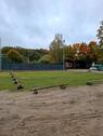 Foto - andere in Bad Fallingbostel