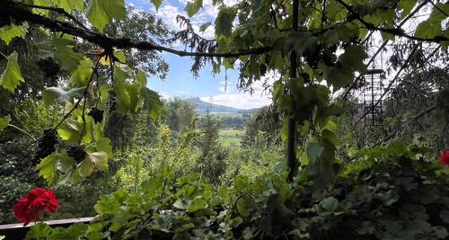 Foto - Zu vermieten: Charmantes altes Bauernhaus mit großem Garten