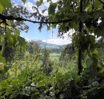 Zu vermieten: Charmantes altes Bauernhaus mit großem Garten - Engen