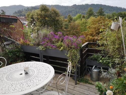 Foto - 2 Zimmer Etagenwohnung in Freiburg im Breisgau