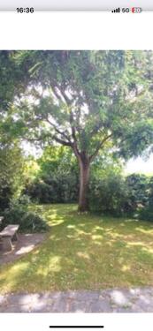 Foto - 8 Zimmer Einfamilienhaus in Neuwied