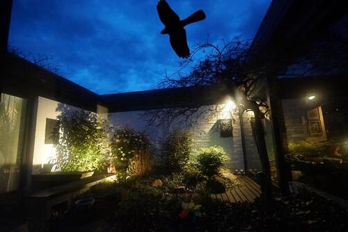 Foto - Einfamilienhaus in Euskirchen zum Kaufen