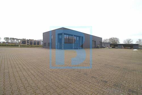 Foto - andere in Löningen