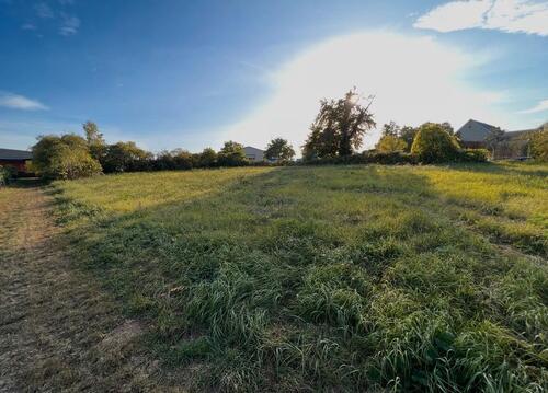 Foto - Zwei Wiesen a 299€ im Jahr zu verpachten