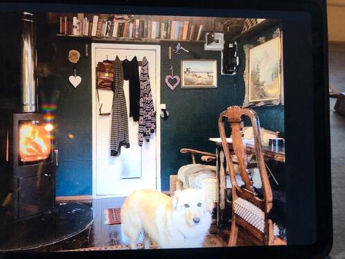 Foto - Grundstück in Esslingen am Neckar zur Miete