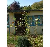 Kleingarten in Bad Kleinen - 500,00&nbsp;EUR Kaltmiete, ca.&nbsp; 0,00&nbsp;m&sup2; in Bad Kleinen (PLZ: 23996)