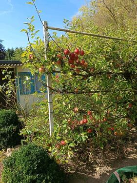 Foto - Grundstück zur Miete in Bad Kleinen