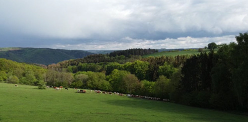 Foto - Sonnige Baugrundstücke – 898 bis 1.199 m² mit Weitblick