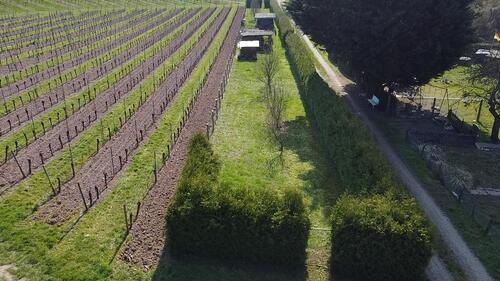 Foto - Grundst&uuml;ck zur Miete in Bad Kreuznach