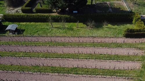 Foto - Grundst&uuml;ck in Bad Kreuznach