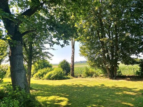 Foto - 10 Zimmer Einfamilienhaus zum Kaufen in Brakel