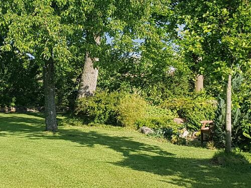 Foto - Einfamilienhaus in Brakel zum Kaufen