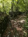 Foto - Hausruine mit Grundstück - 30,00 EUR Kaltmiete, ca.  0,00 m²