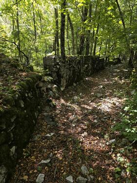 Foto - Hausruine mit Grundstück - 30,00 EUR Kaltmiete, ca.  0,00 m²