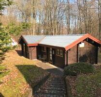 Ferienhaus am Twistesee mit Strand - Leopoldshöhe
