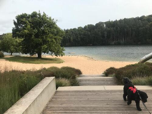 Foto - andere zur Miete in Leopoldshöhe