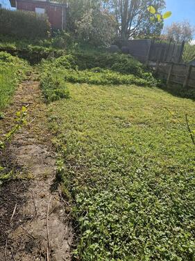 Foto - Grundst&uuml;ck in Battweiler