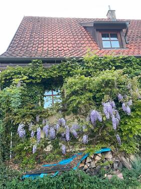 Foto - Einfamilienhaus in Bad Boll