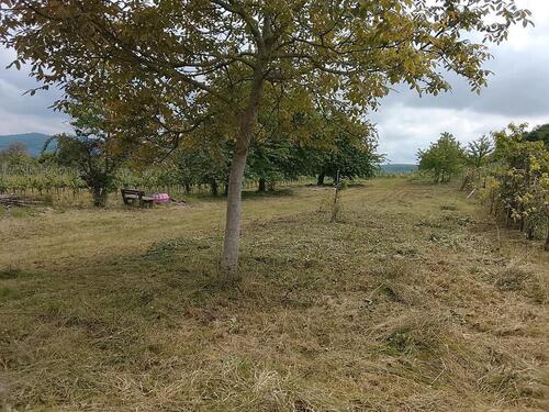 Foto - Gartengrundstück Freizeitgrundstück ZU VERMIETEN