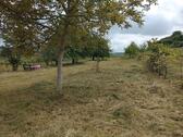 Foto - Grundst&uuml;ck in Endingen am Kaiserstuhl