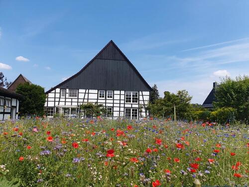 Foto - Einfamilienhaus, WG oder Großfamilien geeignet