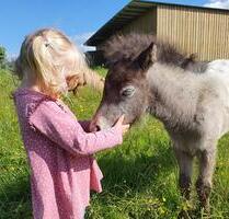 Ferienwohnung Urlaub Ostsee Bauernhof Reiten Tiere Pferde - Schönwalde am Bungsberg