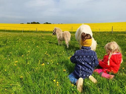 Foto - andere zur Miete in Schönwalde am Bungsberg