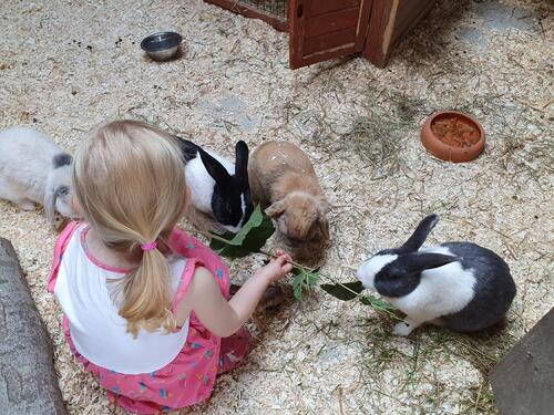 Foto - andere in Schönwalde am Bungsberg
