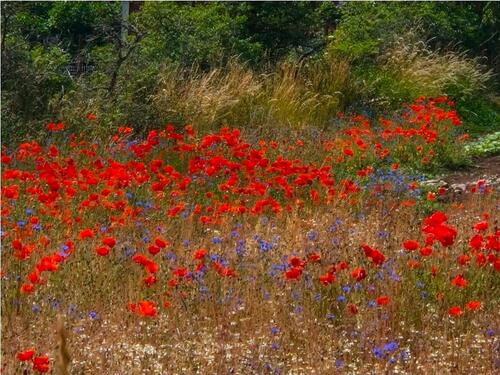 Foto - andere zur Miete in Rostock