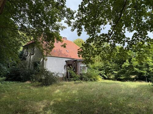 Foto - Einfamilienhaus in Hesel
