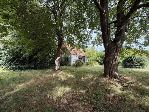 Foto - Einfamilienhaus in Hesel zum Kaufen
