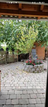 Foto - 8 Zimmer Einfamilienhaus in Lehrberg