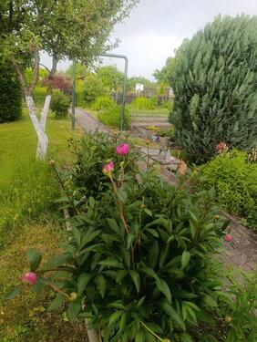 Foto - Grundstück in Gotha