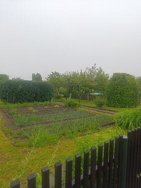 Foto - Grundstück in Gotha zur Miete