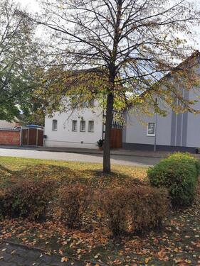 Foto - Einfamilienhaus zum Kaufen in Straußfurt