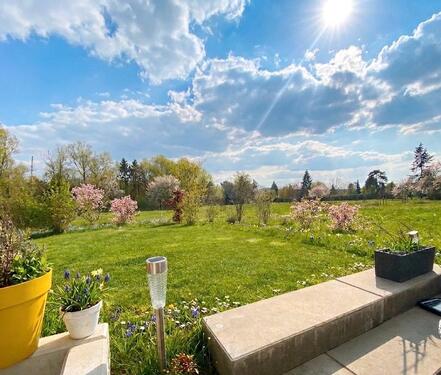 Foto - Erdgeschoßwohnung in Offenbach am Main zur Miete