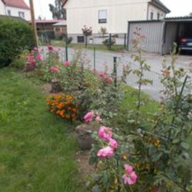 Foto - 6 Zimmer Einfamilienhaus in Gröditz