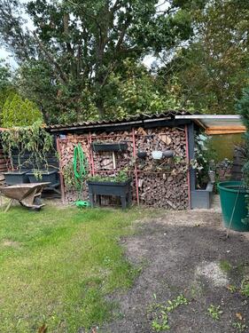 Foto - 5 Zimmer Einfamilienhaus in Samtens