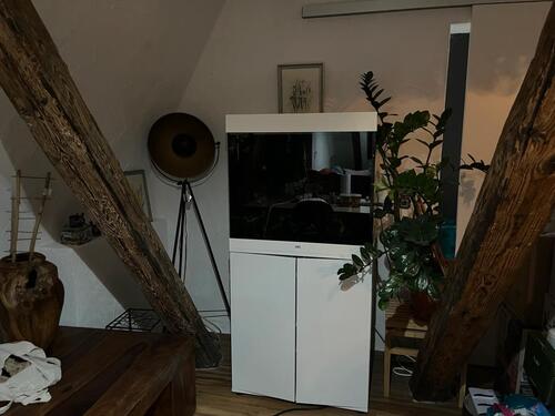 Foto - Etagenwohnung zum Kaufen in Blaubeuren