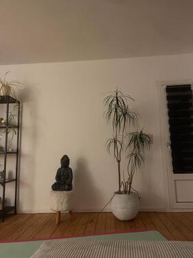 Foto - Wg Zimmer Wohnung (Mädels WG) - 400,00&nbsp;EUR Kaltmiete, ca.&nbsp; 40,00&nbsp;m&sup2;