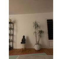 Wg Zimmer Wohnung (Mädels WG) - 400,00&nbsp;EUR Kaltmiete, ca.&nbsp; 40,00&nbsp;m&sup2; in Flensburg (PLZ: 24939) Altstadt