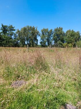Foto - Grundstück mit Altbestand -provisionsfrei-