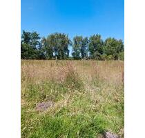 Grundstück mit Altbestand -provisionsfrei- - Brunsbüttel