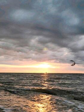 Foto - Nordsee Esens Bensersiel FerienhausFerienwohnung Hund 1.Mai frei