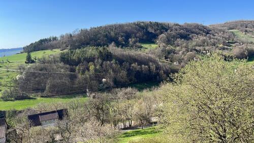 Foto - Haus mit 3 Wohnungen - 450.000,00 EUR Kaufpreis,