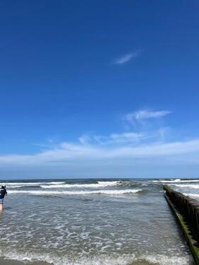 Foto - Einfamilienhaus zum Kaufen in Hage