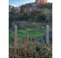 Haus in Rumänien zu verkaufen - 20.000,00&nbsp;EUR Kaufpreis, ca.&nbsp; 80,00&nbsp;m&sup2; in Pirmasens (PLZ: 66955) Niedersimten